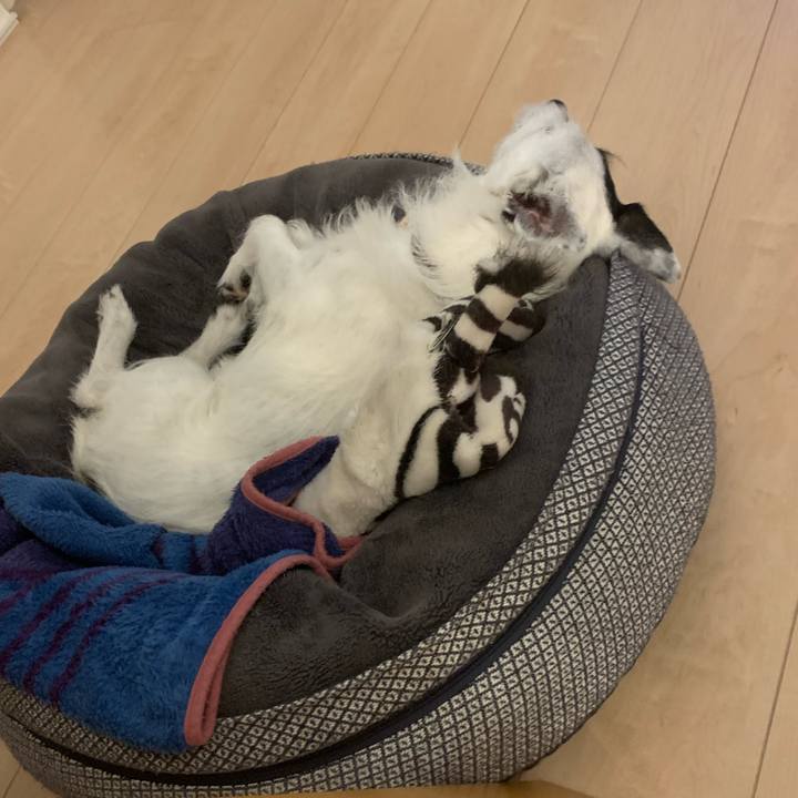 46f00f1e b1f8 435d 9cb9 601f9c3bdf8a 1717848018071