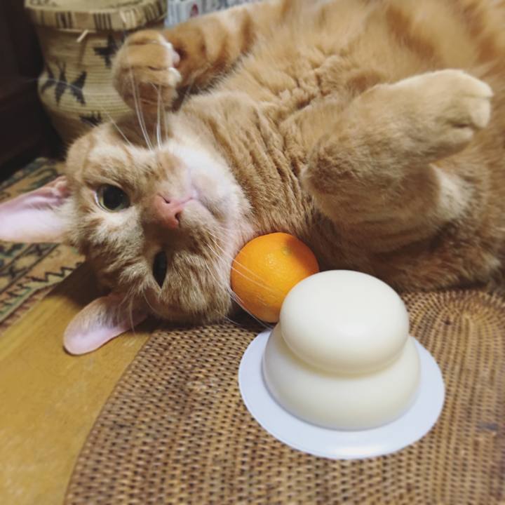 46f02636 074a 4bb8 9fc5 bb9721119ad5 1609635604224