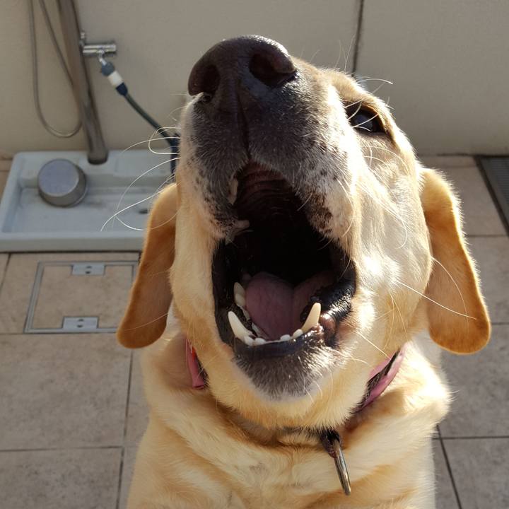 46f02e6e dc98 42f0 98bc a96f2333a78c 1517275864729