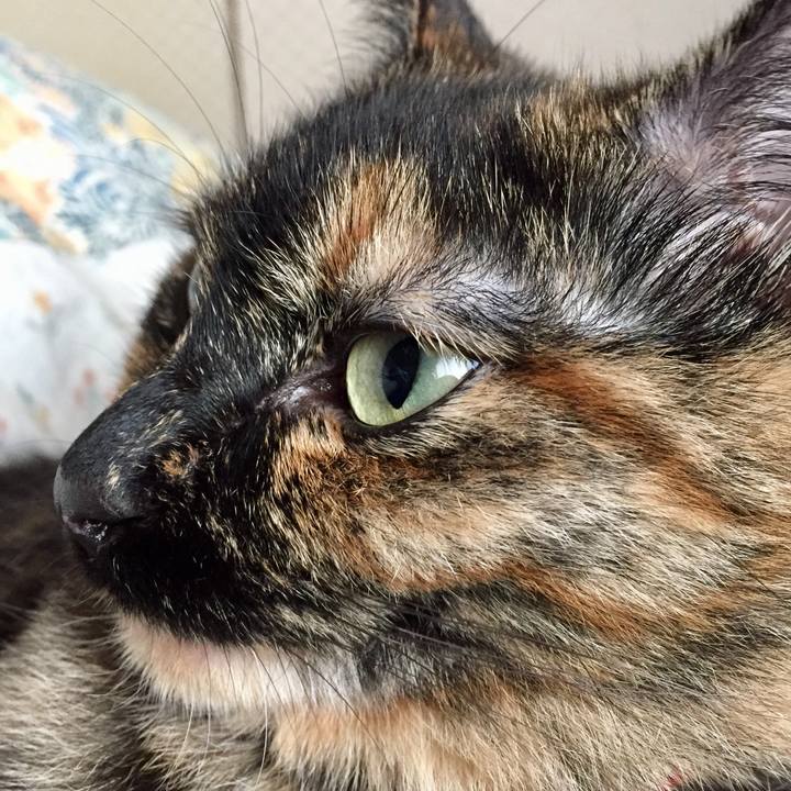 46f0bb3b 5224 4757 b4a3 3b98416eda04 1603497724882