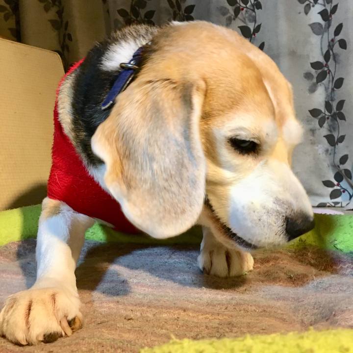 46f0d13b 075f 41b2 9e07 2fa17b1a075b 1549809030122