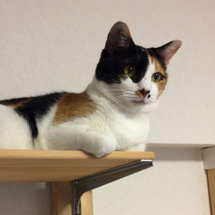 46f0e459 205d 438f 950a 6836ad48e343 1570146823210