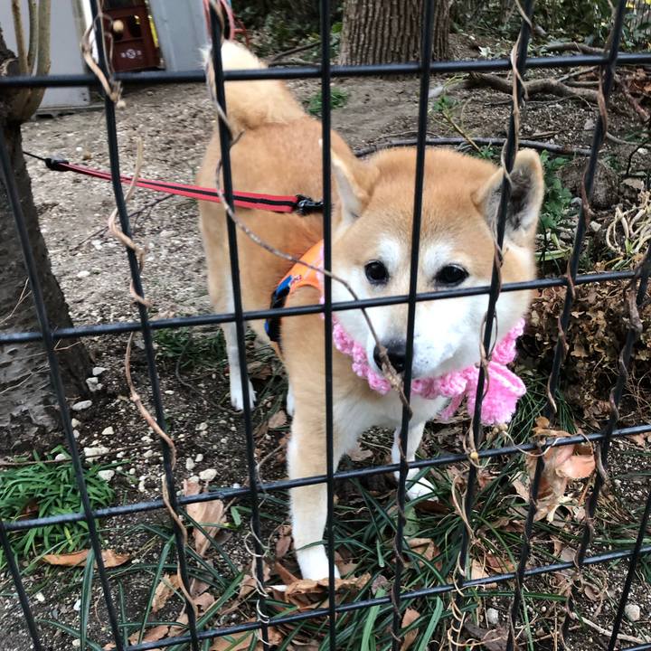 46f12952 ec6d 4732 9b34 9f34312c3c54 1548919831687