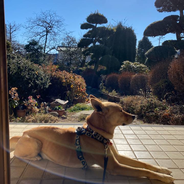 46f13a51 eab1 468f 9e54 9864eea1ba75 1611105466690