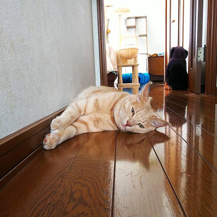 46f13d6e a227 42fd b970 d1c0eb3f2bef 1596326855379