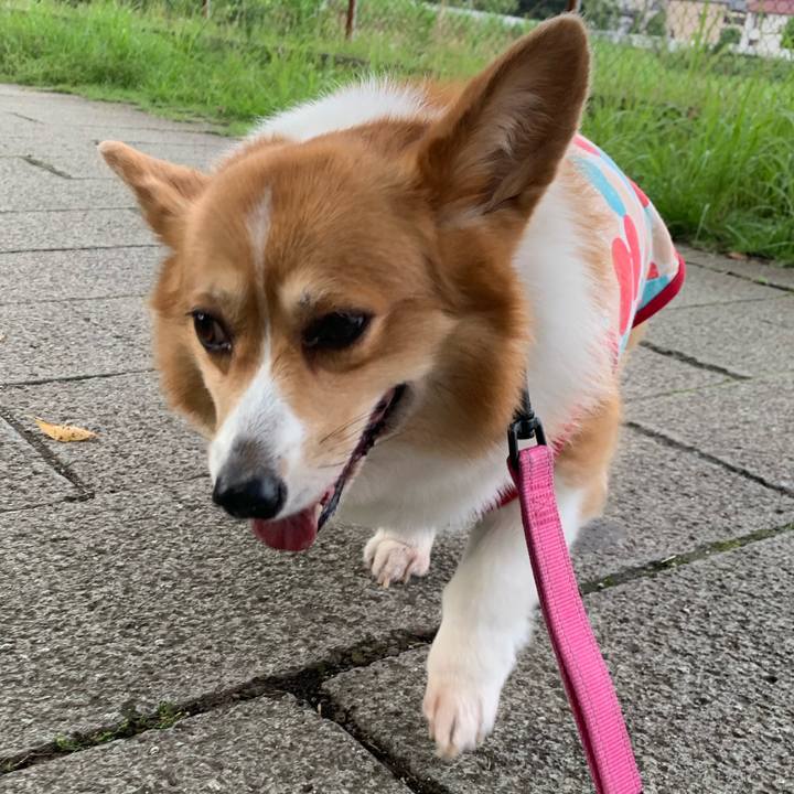 46f1453b fe7a 4727 8ba0 a817a3ea4b64 1593466869747