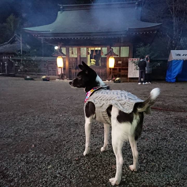 46f1466a 1540 44e1 a7ad f4c5c404f1bc 1577961466771