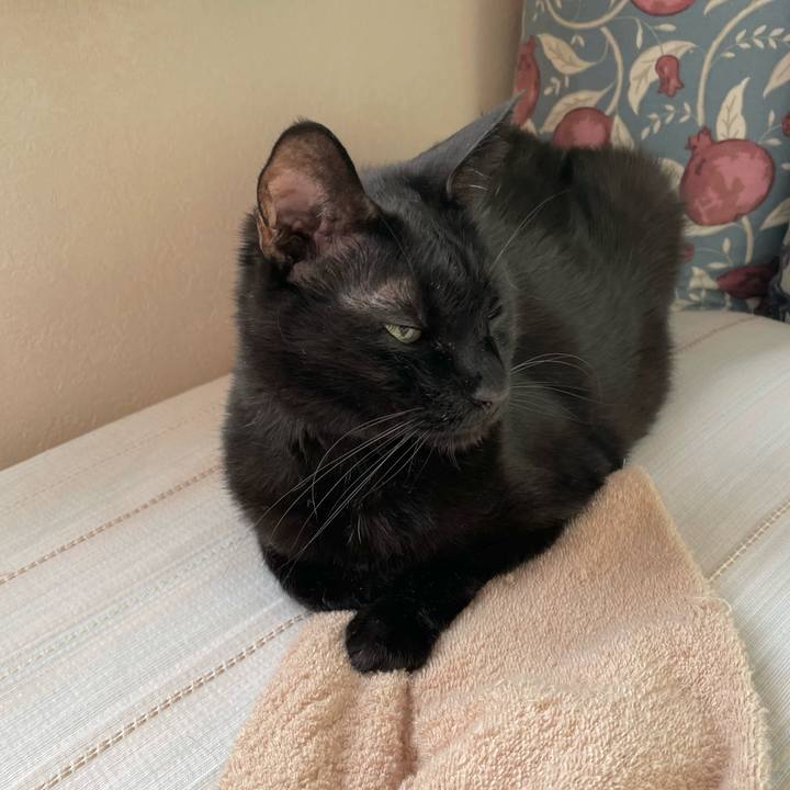 46f1484a f9ca 406b 874f 48415e6a2a04 1753054932288