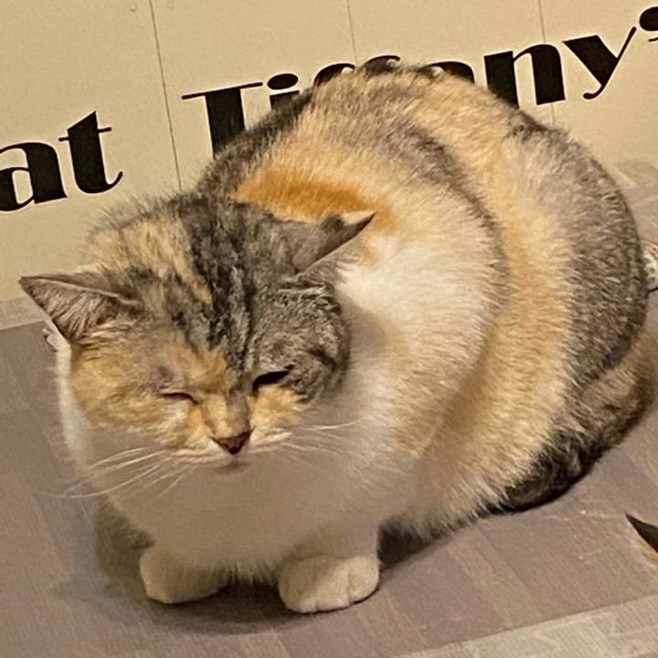 46f14acc 9d90 4514 87b8 25572259b2db 1617628368575