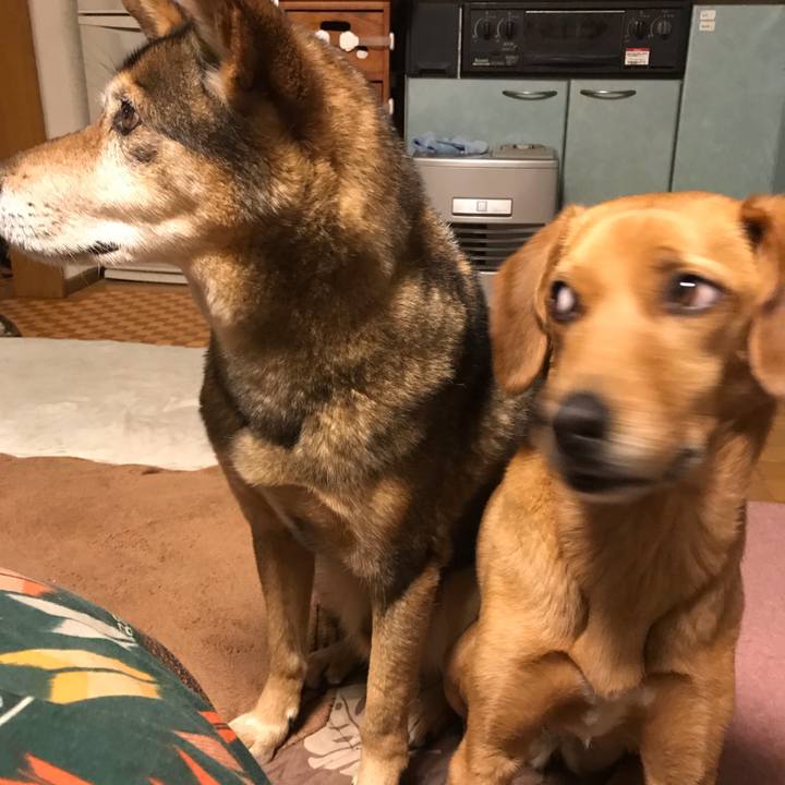 46f1541d 9e66 48d5 8b74 c37dafdc7729 1554067724722