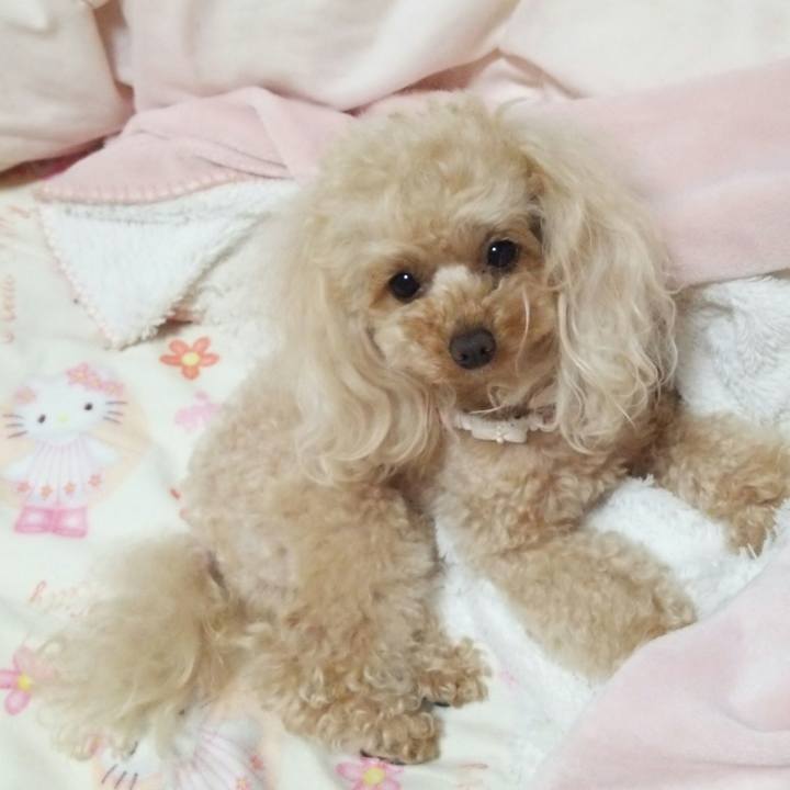 46f1726c 1304 47a0 bf0f 82ab53a23eb5 1524574568645