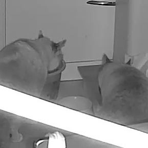 46f1b167 04b4 4175 bd13 4ebb3d142b5a 1706366068778