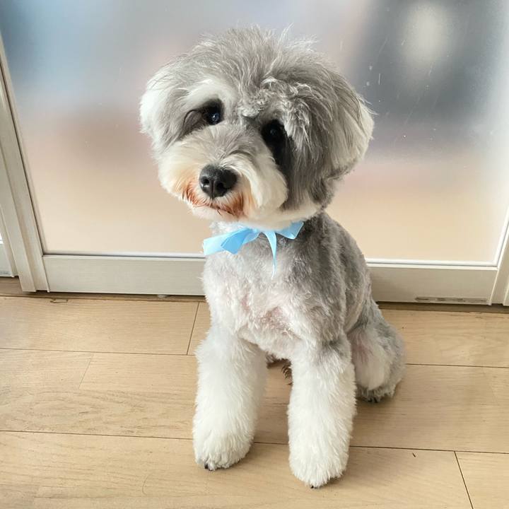 46f1c82d ccc1 411c b5bd e506c50d50d4 1612591115803