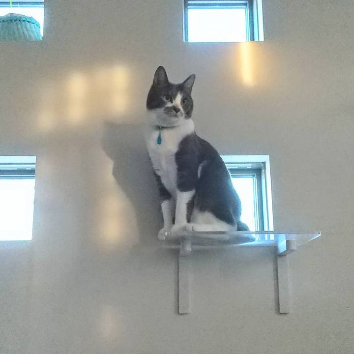 46f1ec6e a614 4d77 967e d1f44ba849e3 1635076508648