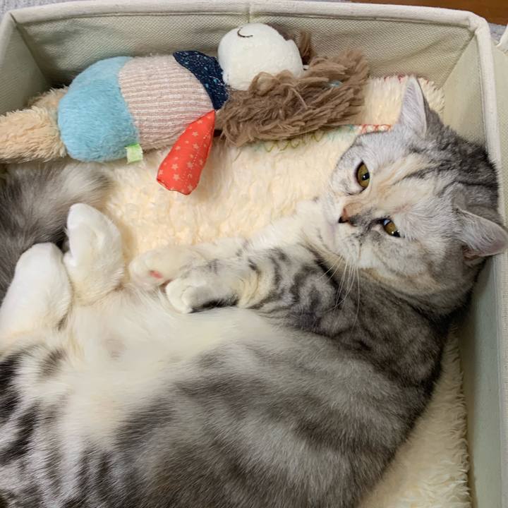 46f1f496 65c2 4d23 ac37 131c32e3bc2c 1706013625889