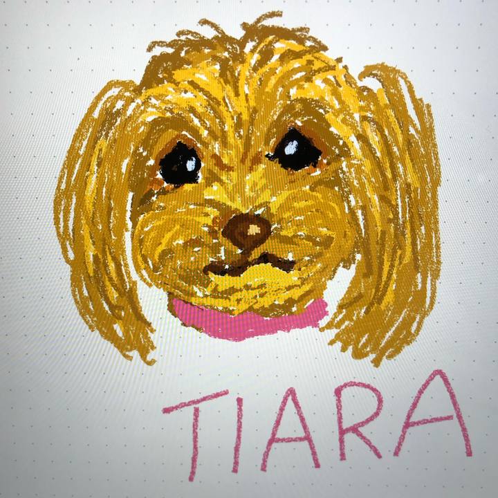 46f1fc13 19f7 49fd a237 d046da0f67fe 1677772243787