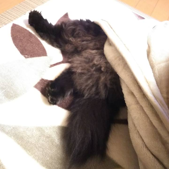 46f2293b a4b5 44ec 9c5d fe2b3ffa68d3 1574506527045