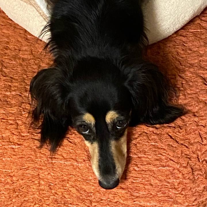 46f232bd 4bbe 46f4 94a2 dd57f1dbdfe3 1723804897515