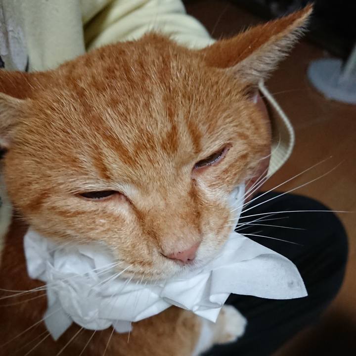 46f268a6 7161 45f4 8f6c 2bdbfb1dc7da 1601108867919