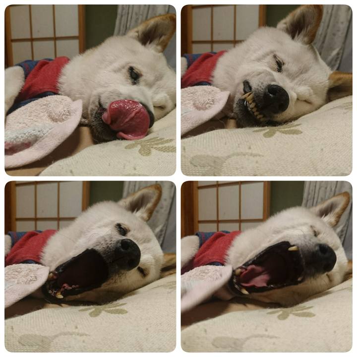 46f26adb 3dd5 444d 90b6 733d1c3feacf 1507820877854