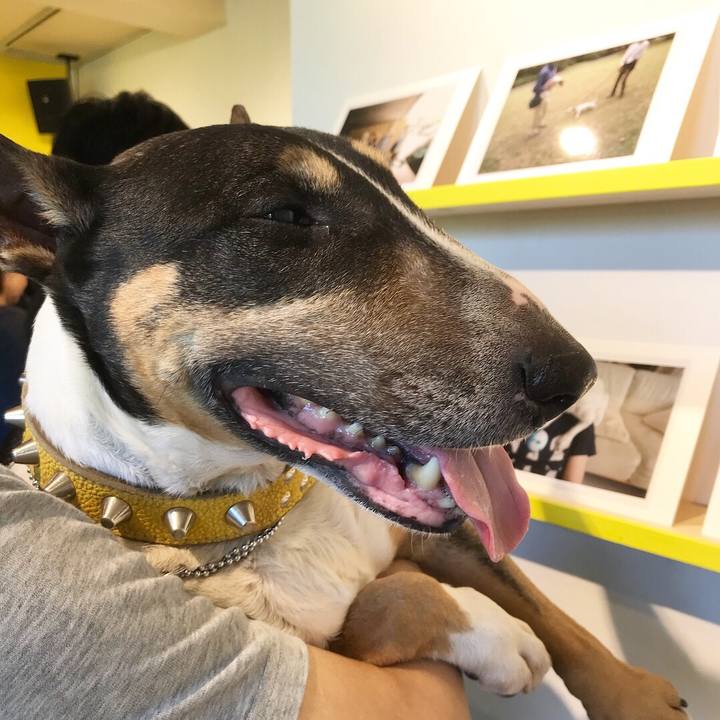 46f28fa6 96e7 49f6 a70c 058eeab8cf4b 1524319898778