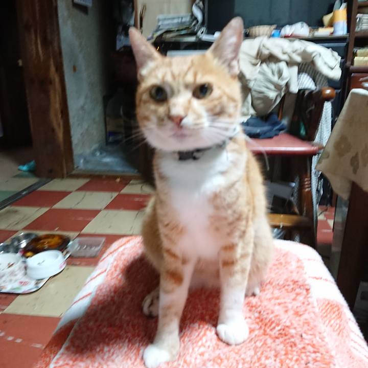 46f2f26d b20d 4bb7 8d7a db1a21d2869a 1596314401606