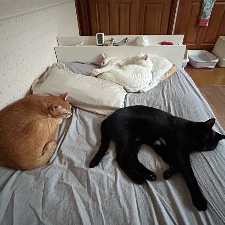 46f30c64 a415 447b ab4e 1f3023927fc7 1671261450889