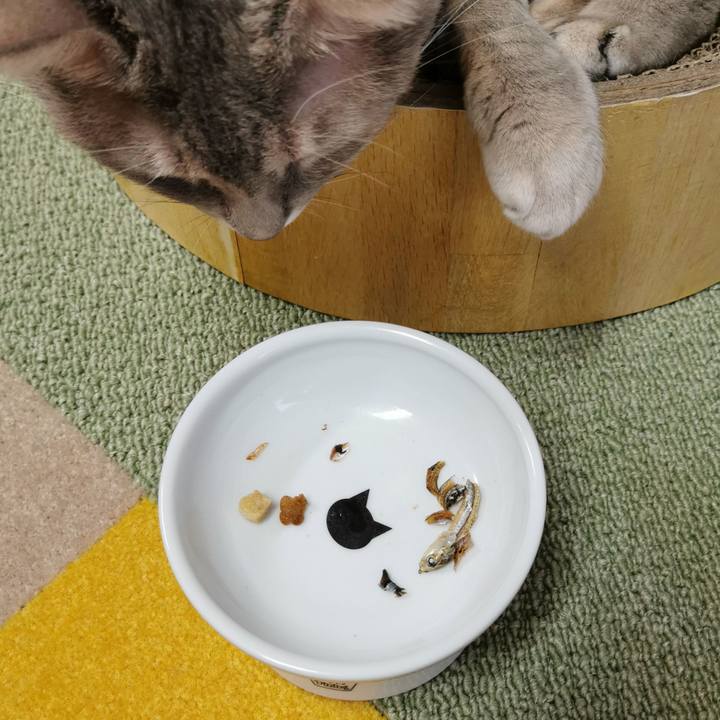 46f31309 b985 4ddc 886c 2f26dbdf1d95 1637810826254