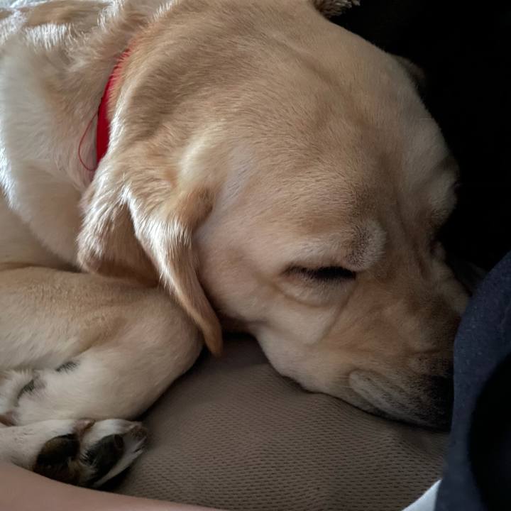 46f31f93 e018 4efd a9fd 6aaadf0ab9cb 1621373356848