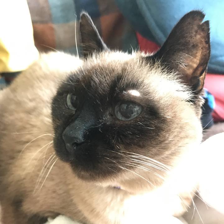 46f326e7 8072 4720 935b 0a662476ea0e 1525478972237