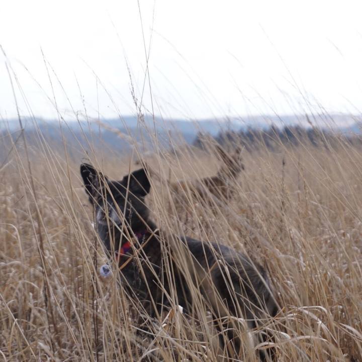 46f3927f ff10 44be 9f1a 7d6f481fabac 1583310667694