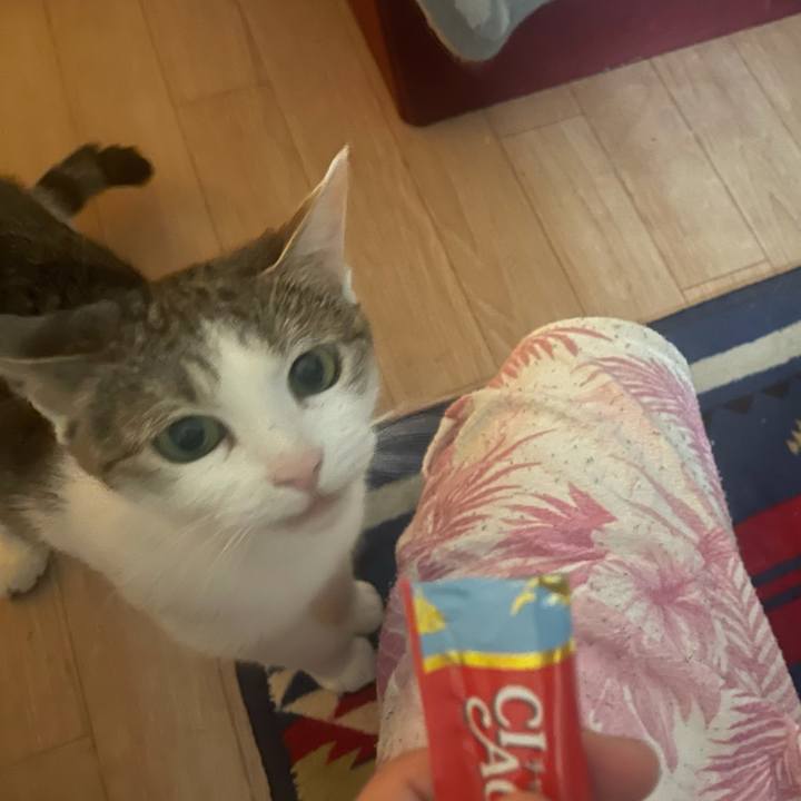 46f3dcb7 665f 47e0 9c9b 7c8130103337 1625131563375