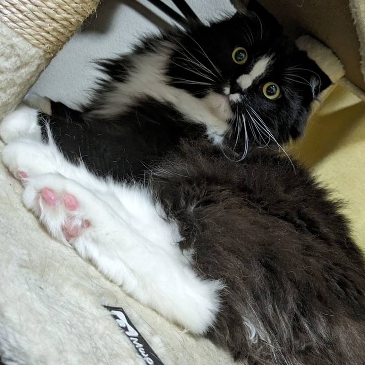 46f44f74 b7ea 45f3 b5c2 2be98ebf1c4f 1718456636330