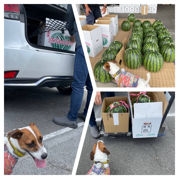 46f45149 0e9a 43f2 b4af 3ff6c0c0ac4c 1658288187127