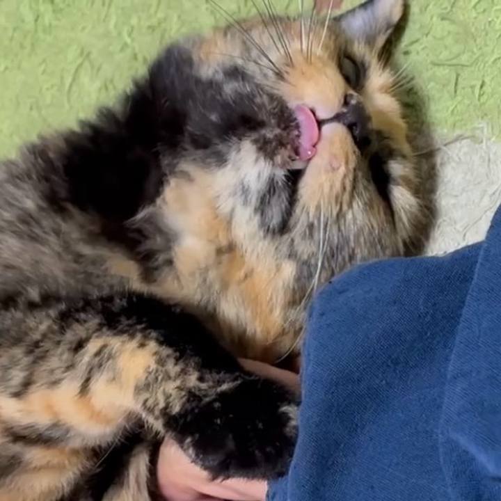 46f45480 fda0 40df 84de 46fa810962a9 1756156473141