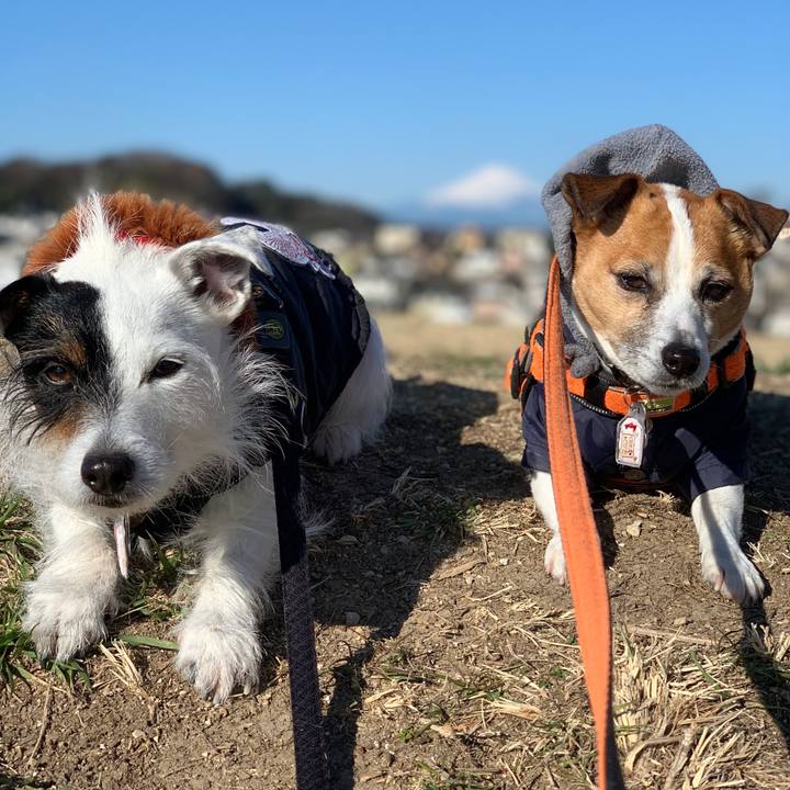 46f4826c 8bd3 4ab1 a8e6 437bc50ba180 1613696561893