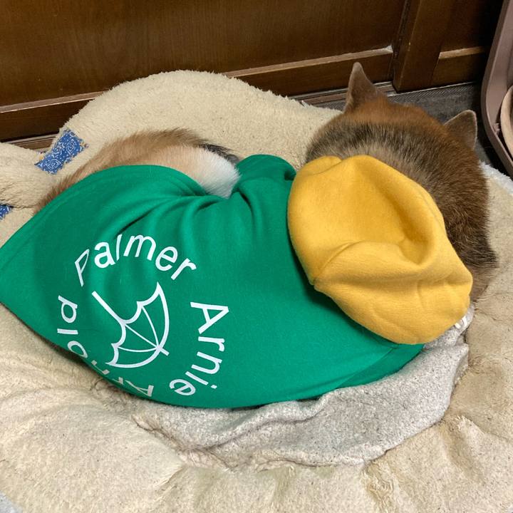 46f4a356 1e19 4295 820c c6613789dfbc 1703241522091