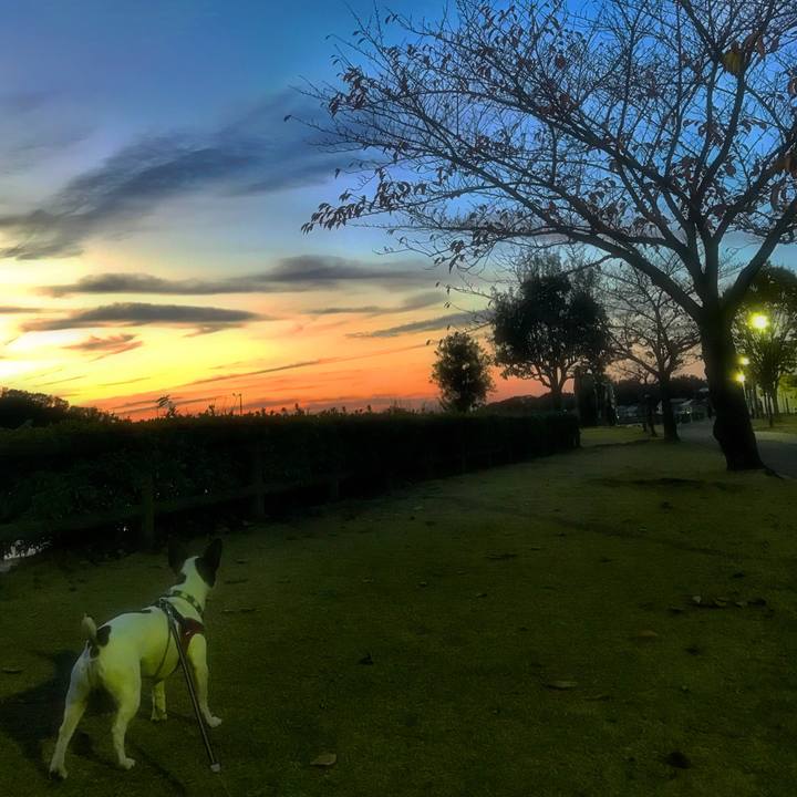 46f4baf4 3a7d 4617 a637 c6c8e280ab38 1511615994910