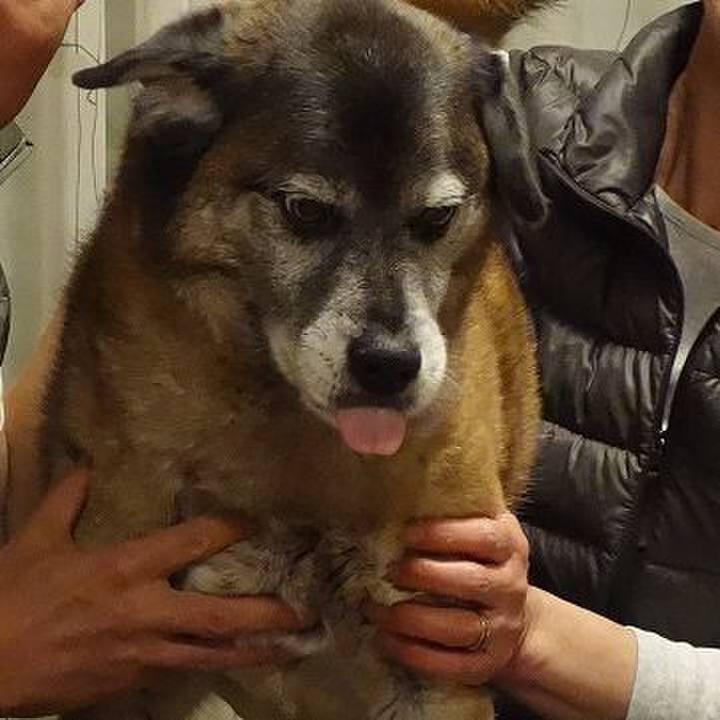 46f4c5dd b226 44a8 8978 8415e75eada7 1524229409407