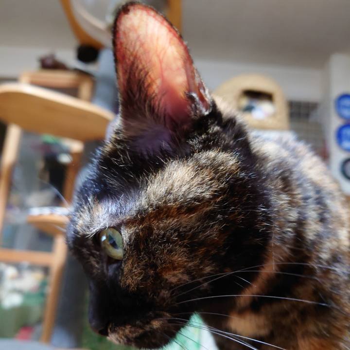 46f5538c 6d0f 470b 8cec 48992c2dd7f6 1699181110370