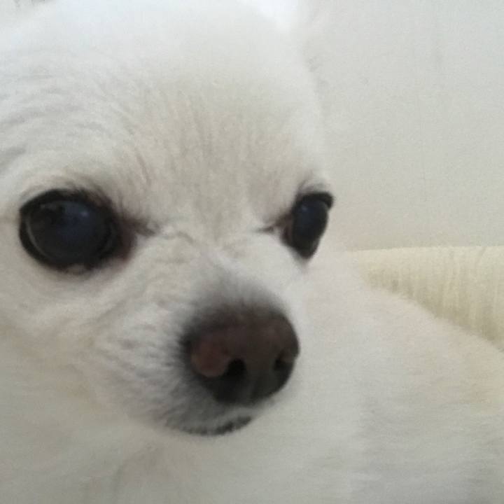 46f56903 5b90 491a b0ef b7ac19f3b919 1534503652533