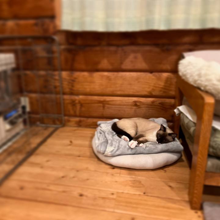 46f57b53 082d 48f1 ada4 bffa0ef721ff 1732013402315