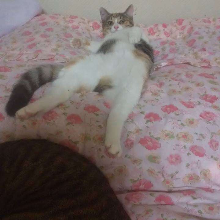 46f5af93 d012 4ba6 b70e 3628828c7395 1729088376417