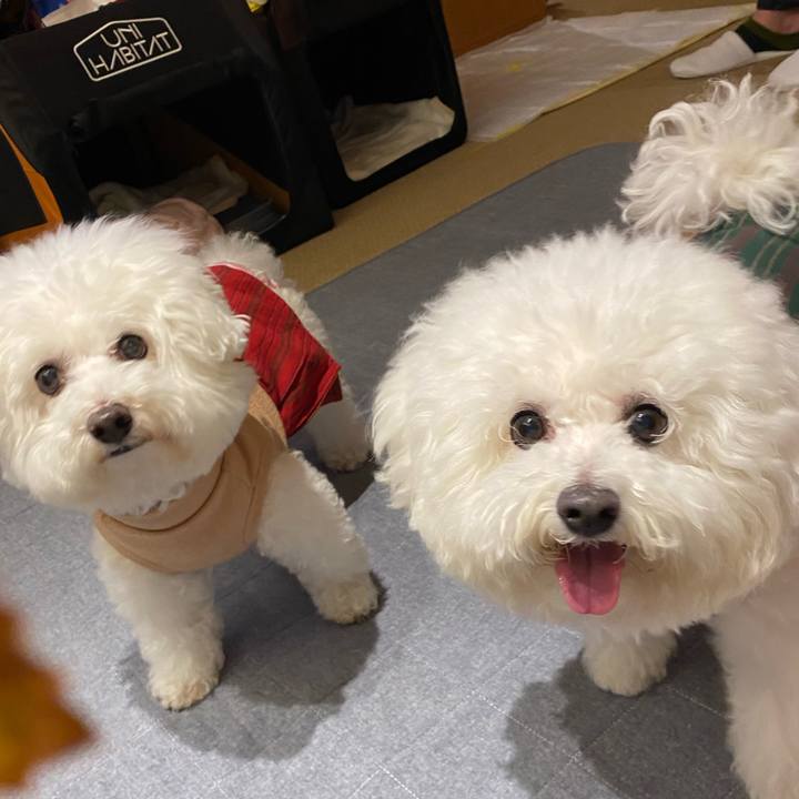 46f681f6 3ef9 4bff acee b26731538d64 1638184362498