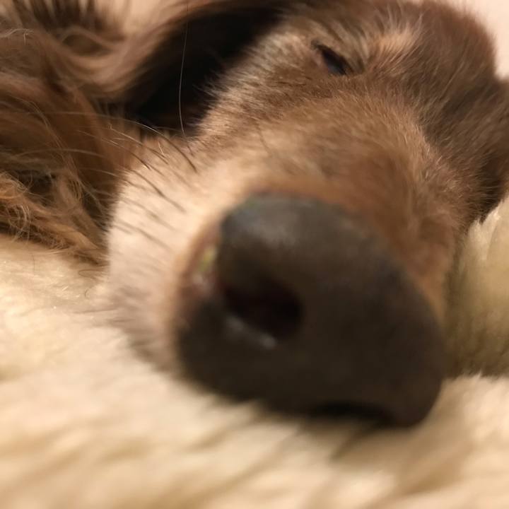 46f68c4f bf44 4eff b129 34e49ec3a0d3 1560510365391