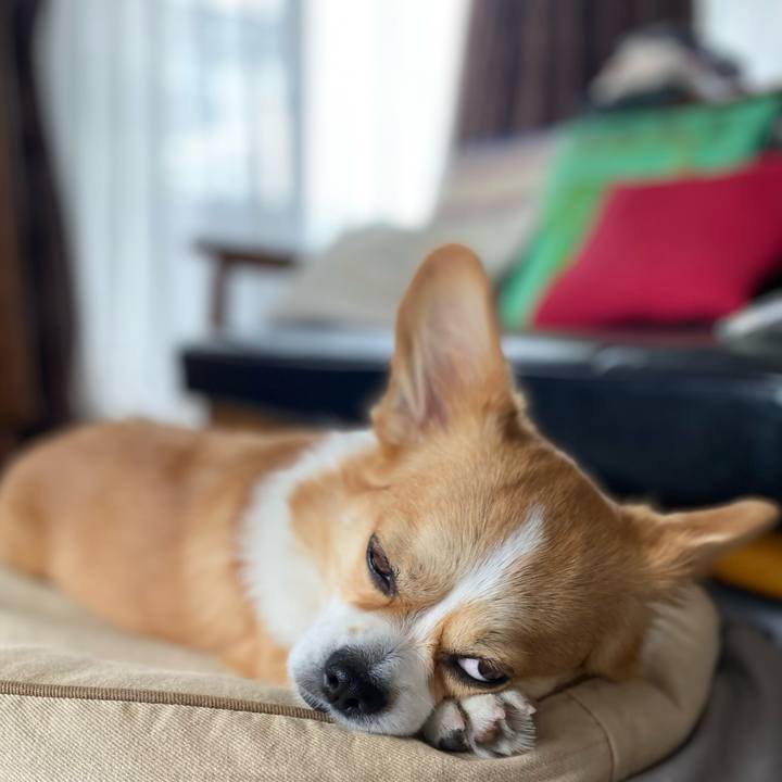 46f69cac f698 417e a79f 697f13aff7cf 1654149978180