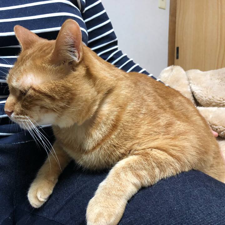 46f6c97d bf0a 451c 8b3d 0aa1efa48496 1583072470777