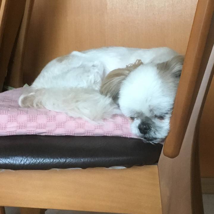 46f6e7de 2ddd 480a a5af 96a9e2266518 1527914002918