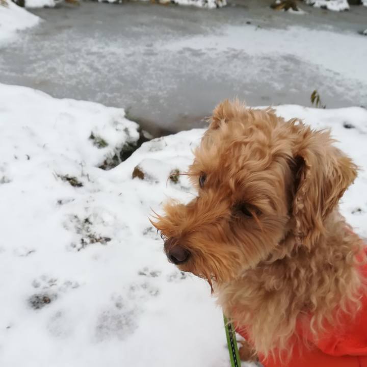 46f736cb 0c78 482b b984 e1aff22d0556 1576285394047