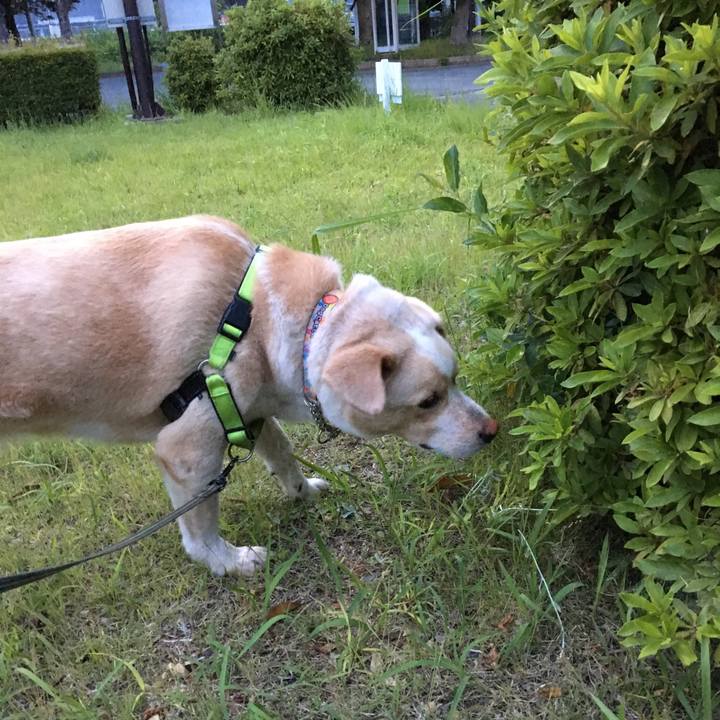 46f73a08 f6f7 4b43 823a 33244fc58447 1527591347510